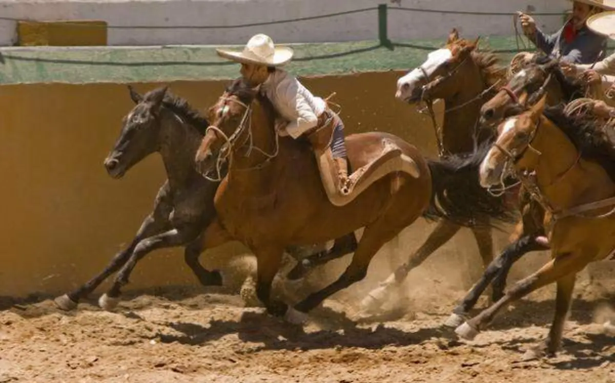 Con gran éxito se realizó el Torneo Charro Primavera 2019ROGER MIXCOAC